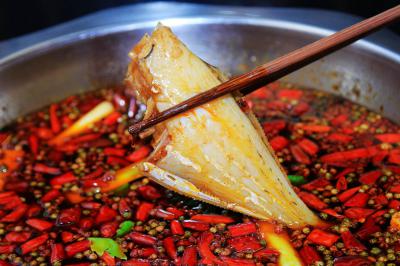 成都郫縣有沒有專業(yè)培訓耗兒魚培訓學校？