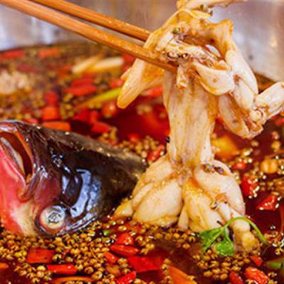 重慶美蛙魚頭火鍋技術(shù)培訓(xùn)多少錢？